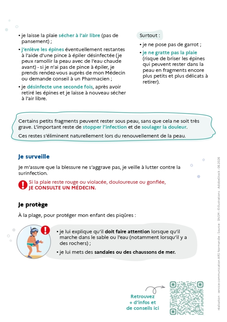 A5 Piqure Oursin Page 0002